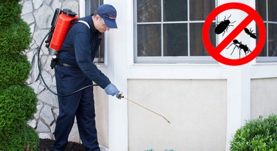 Aydıncık Gümüşkurt İlaçlama böcek ilaçlama ve haşere kontrolü — ilaclama-tr.com